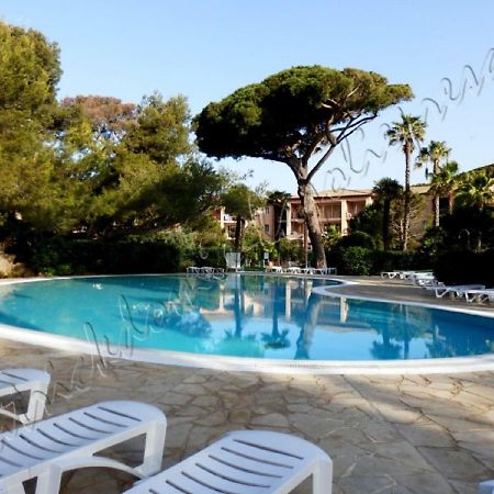 Magnifique Parc De La Presqu'Ile Avec Piscine Et Plage Face A Porquerolles ! イエール エクステリア 写真