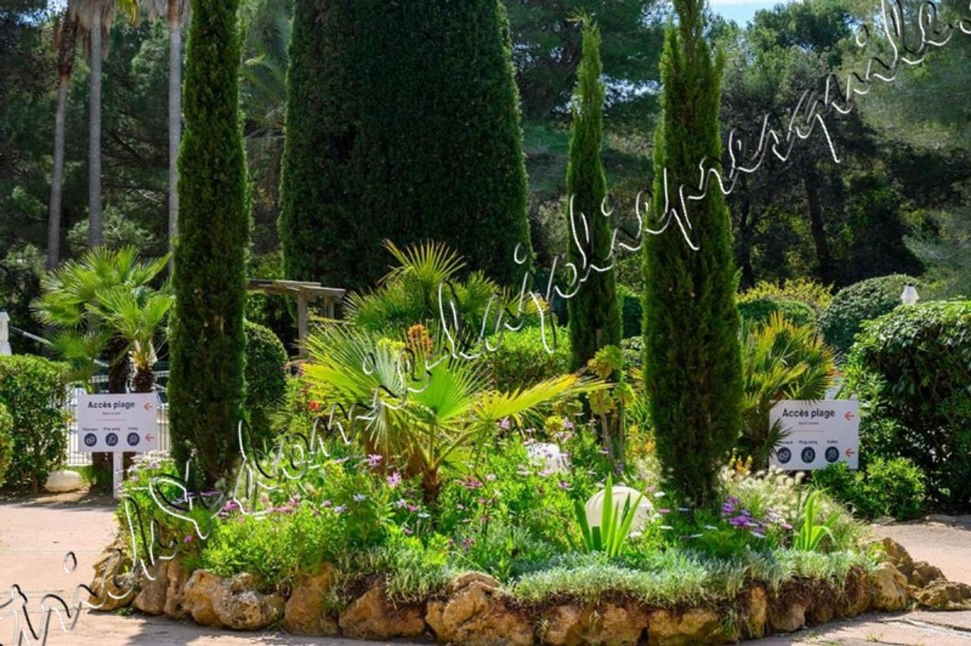 Magnifique Parc De La Presqu'Ile Avec Piscine Et Plage Face A Porquerolles ! イエール エクステリア 写真