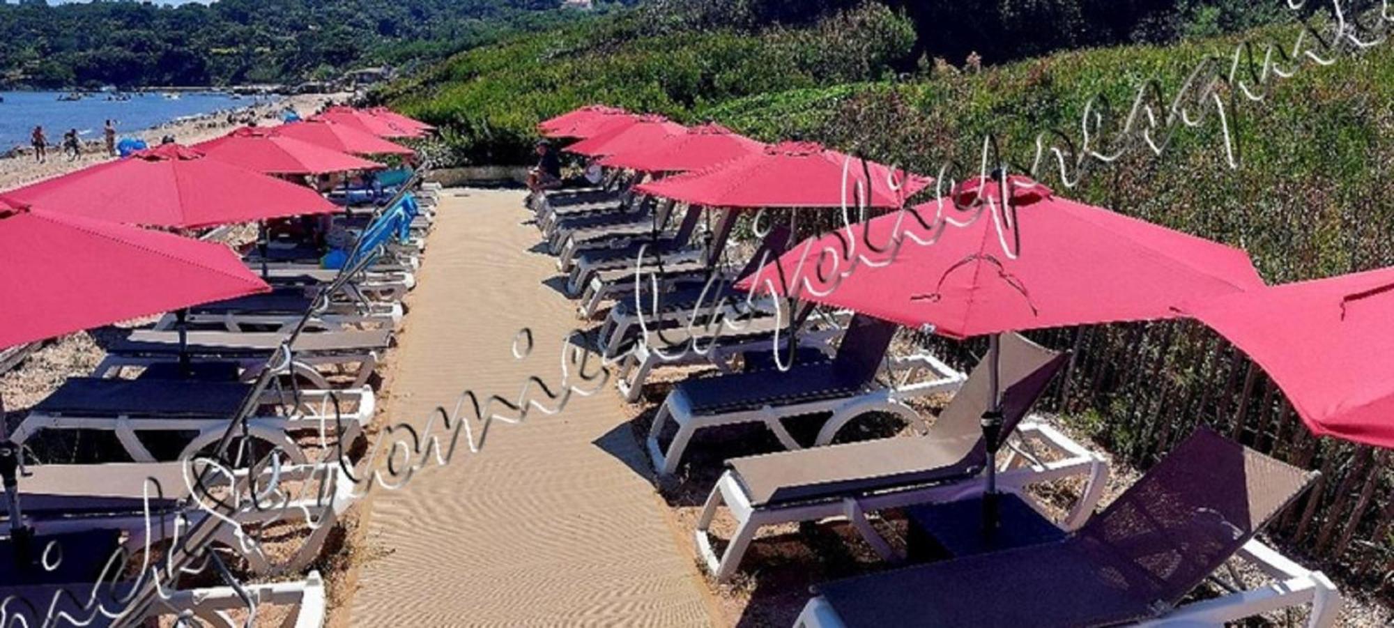 Magnifique Parc De La Presqu'Ile Avec Piscine Et Plage Face A Porquerolles ! イエール エクステリア 写真