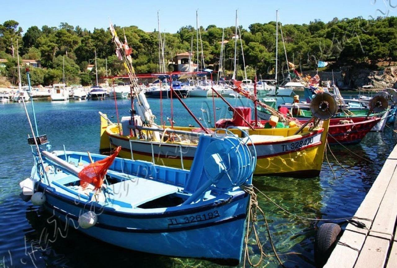 Magnifique Parc De La Presqu'Ile Avec Piscine Et Plage Face A Porquerolles ! イエール エクステリア 写真