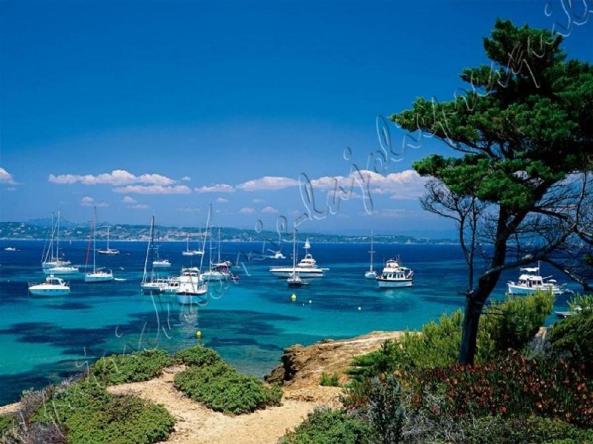 Magnifique Parc De La Presqu'Ile Avec Piscine Et Plage Face A Porquerolles ! イエール エクステリア 写真