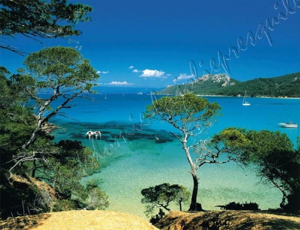 Magnifique Parc De La Presqu'Ile Avec Piscine Et Plage Face A Porquerolles ! イエール エクステリア 写真