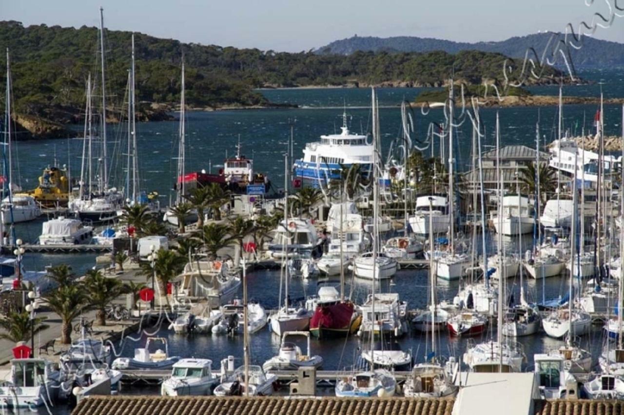 Magnifique Parc De La Presqu'Ile Avec Piscine Et Plage Face A Porquerolles ! イエール エクステリア 写真