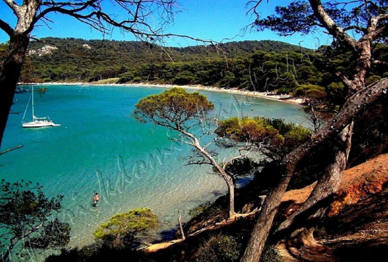 Magnifique Parc De La Presqu'Ile Avec Piscine Et Plage Face A Porquerolles ! イエール エクステリア 写真