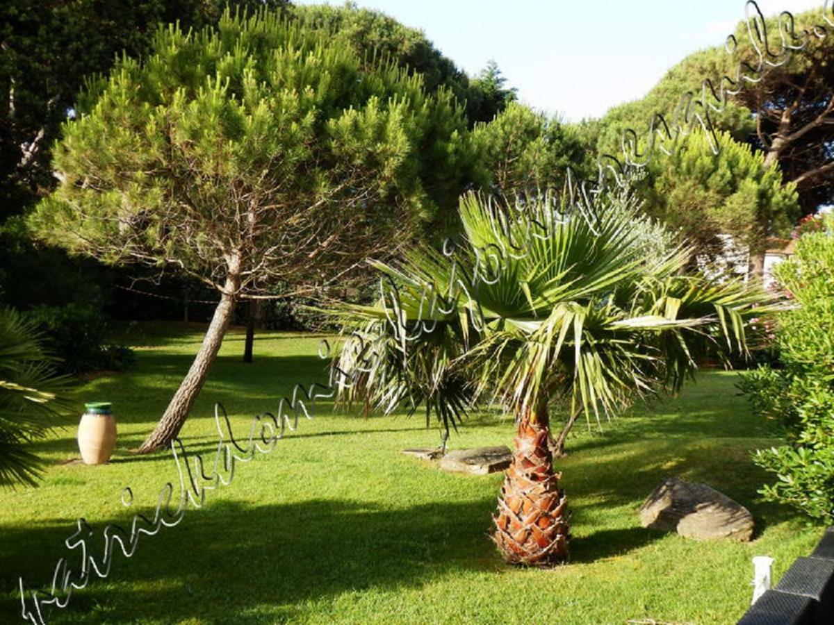 Magnifique Parc De La Presqu'Ile Avec Piscine Et Plage Face A Porquerolles ! イエール エクステリア 写真