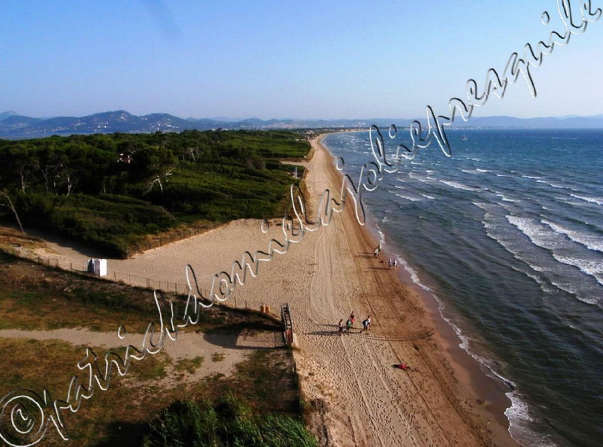 Magnifique Parc De La Presqu'Ile Avec Piscine Et Plage Face A Porquerolles ! イエール エクステリア 写真